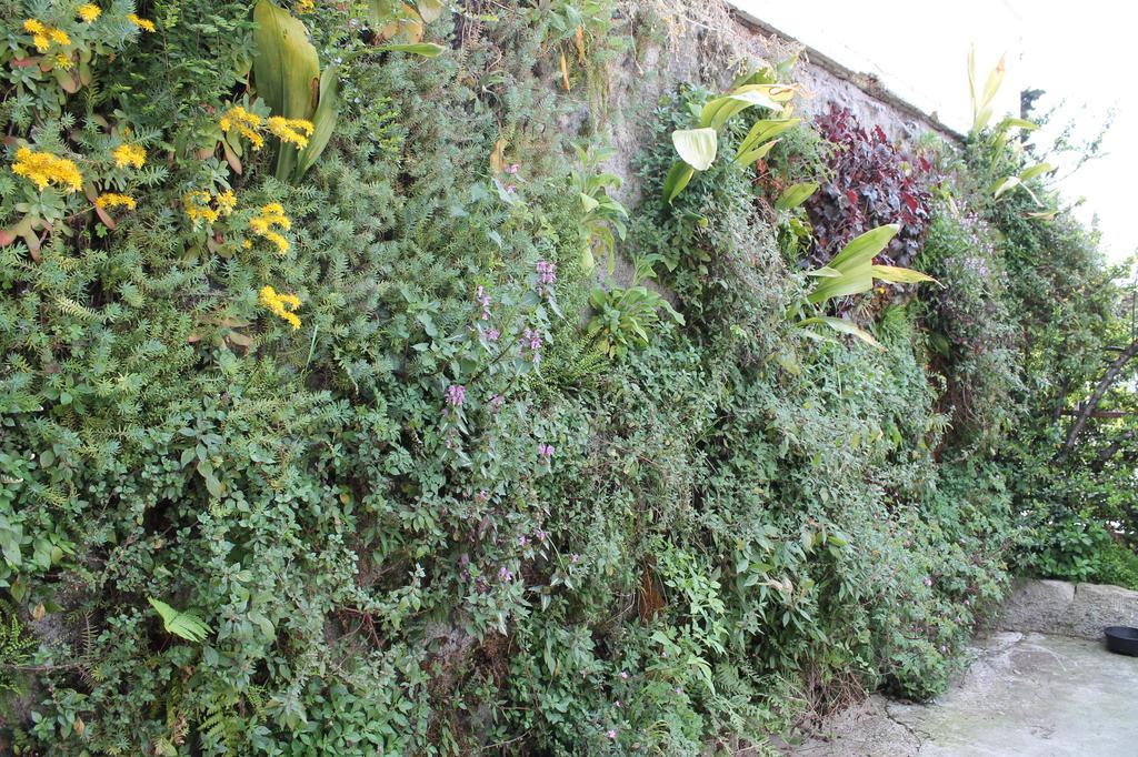 Guesthouse Toticevi 里耶卡 客房 照片